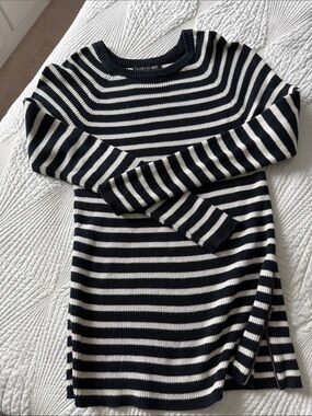 Banana Republic Navy and White Striped Crewneck Sweater